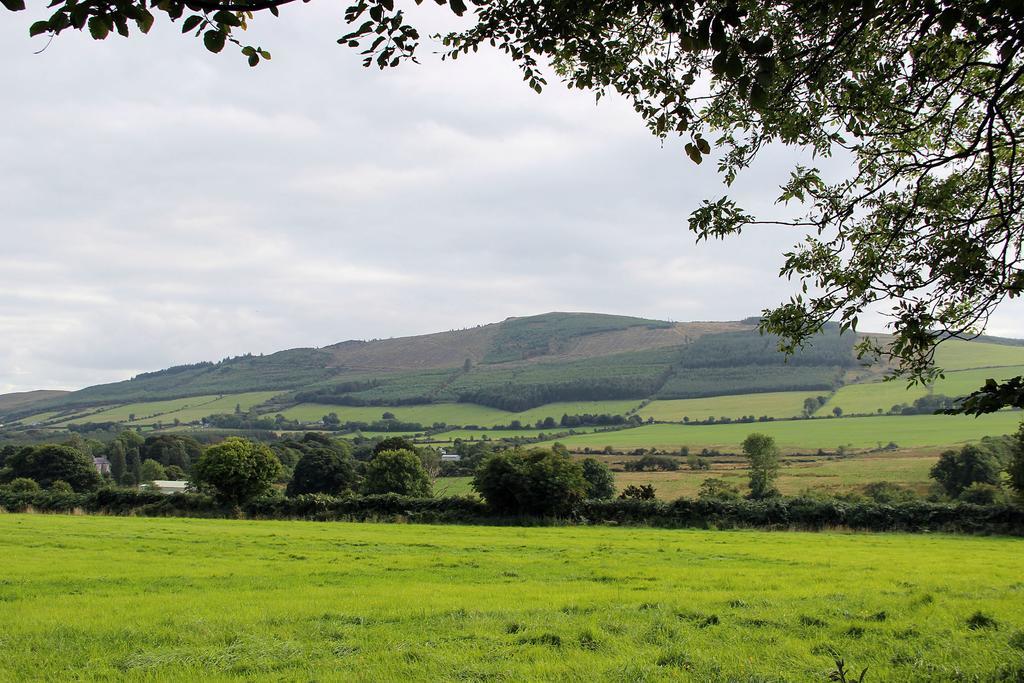 Ballyhoura Mountain Lodges Ballyorgan Quarto foto