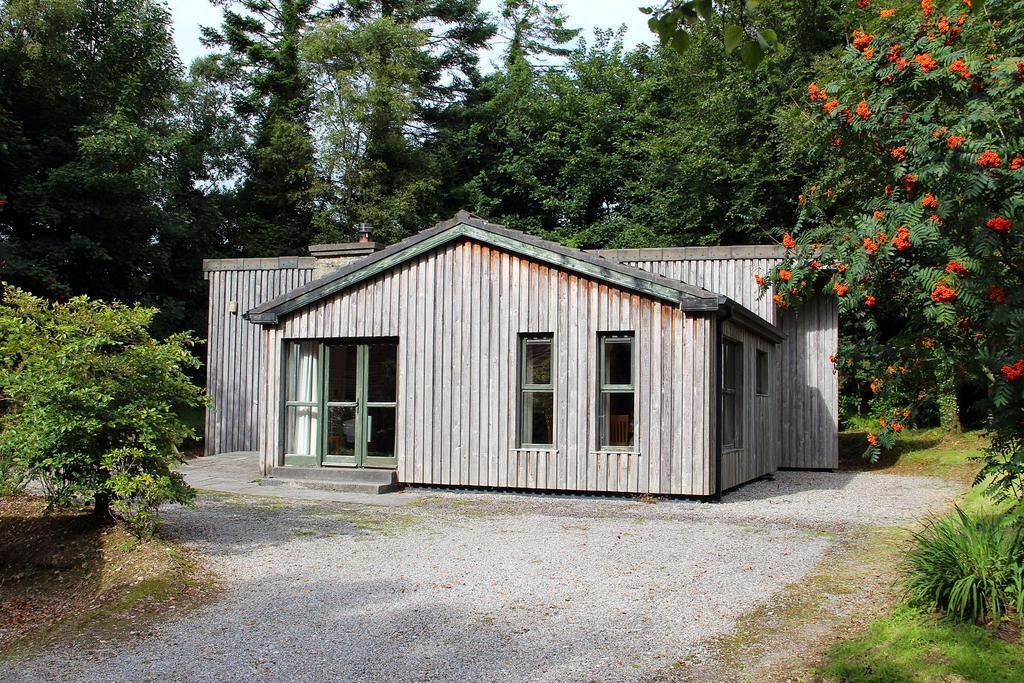 Ballyhoura Mountain Lodges Ballyorgan Quarto foto